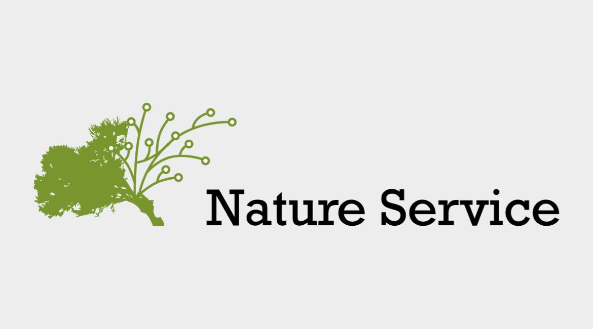 はじめまして！Nature Serviceです。